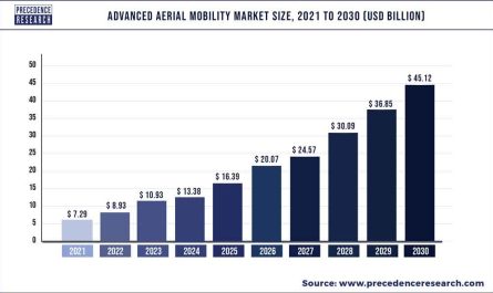 Advanced Aerial Mobility Market Size